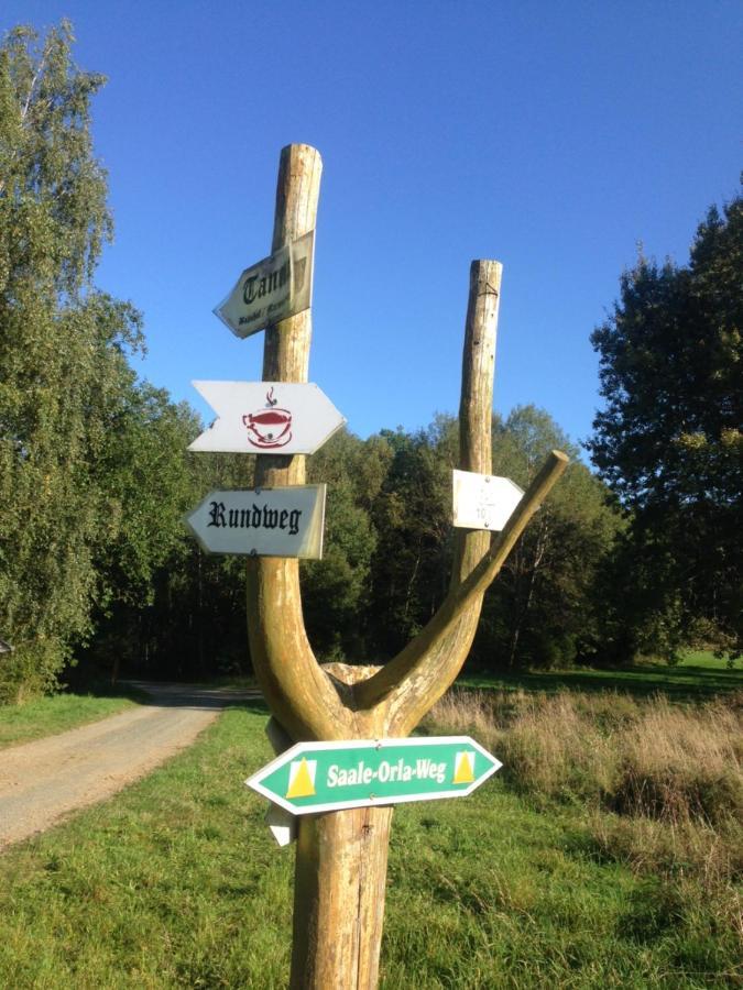 Hundeurlaub Im Tiny House Im Wald Feriehus *