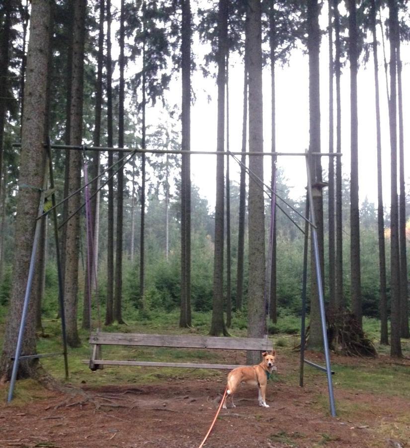 Hundeurlaub Im Tiny House Im Wald *