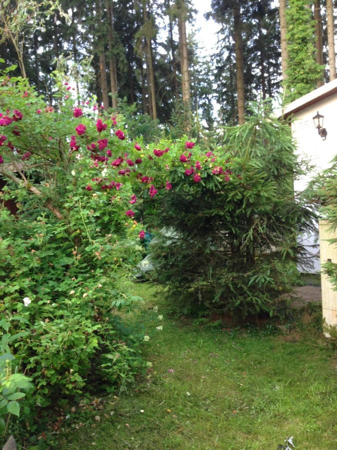 Hundeurlaub Im Tiny House Im Wald * Tanna