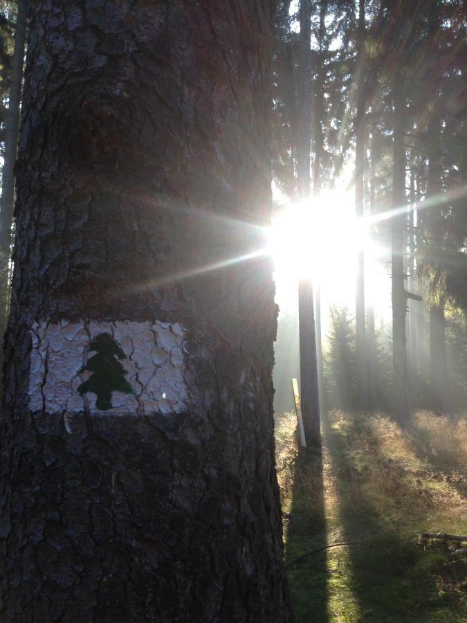 Hundeurlaub Im Tiny House Im Wald Tanna