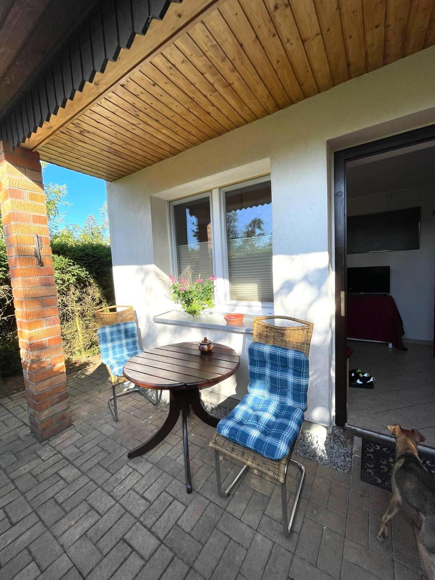 Hundeurlaub Im Tiny House Im Wald