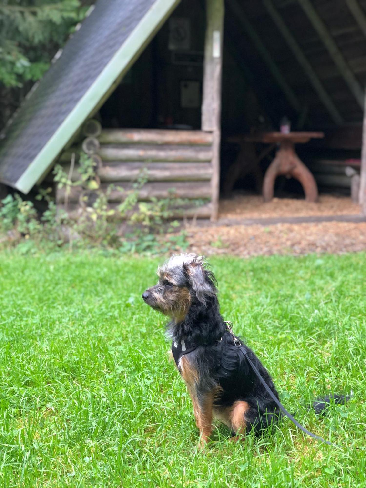 Holiday home Hundeurlaub Im Tiny House Im Wald