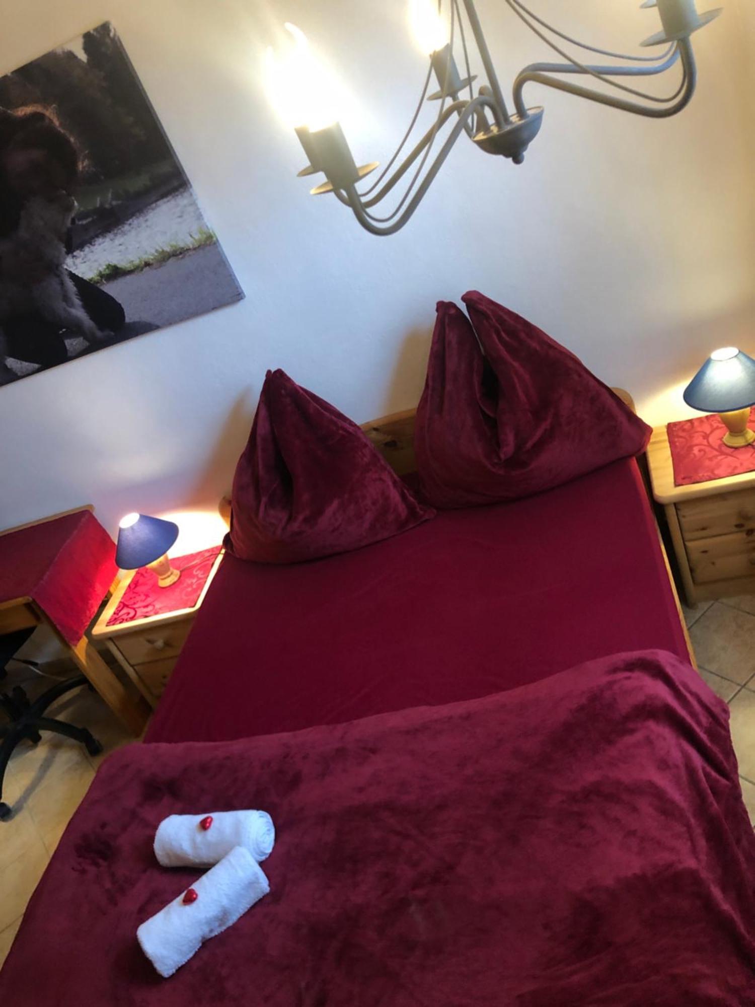 Hundeurlaub Im Tiny House Im Wald Holiday home