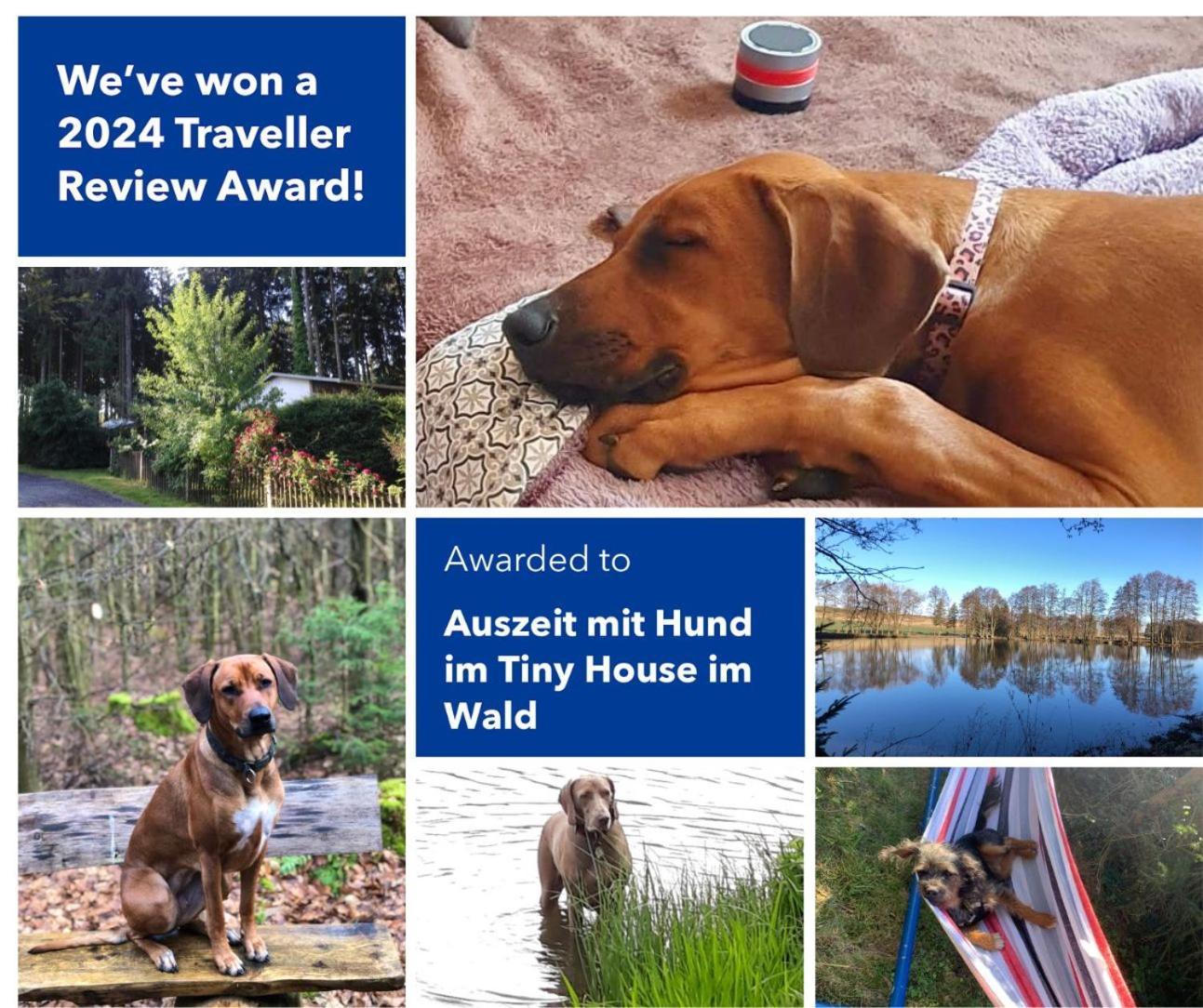 Hundeurlaub Im Tiny House Im Wald Tanna