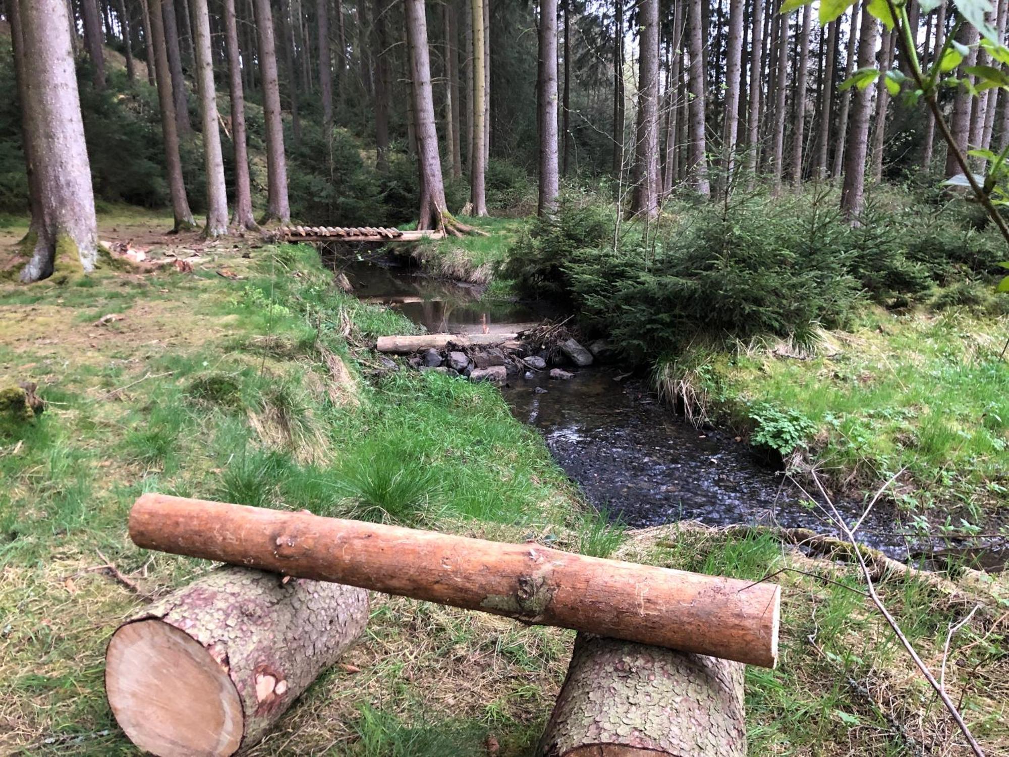 Hundeurlaub Im Tiny House Im Wald