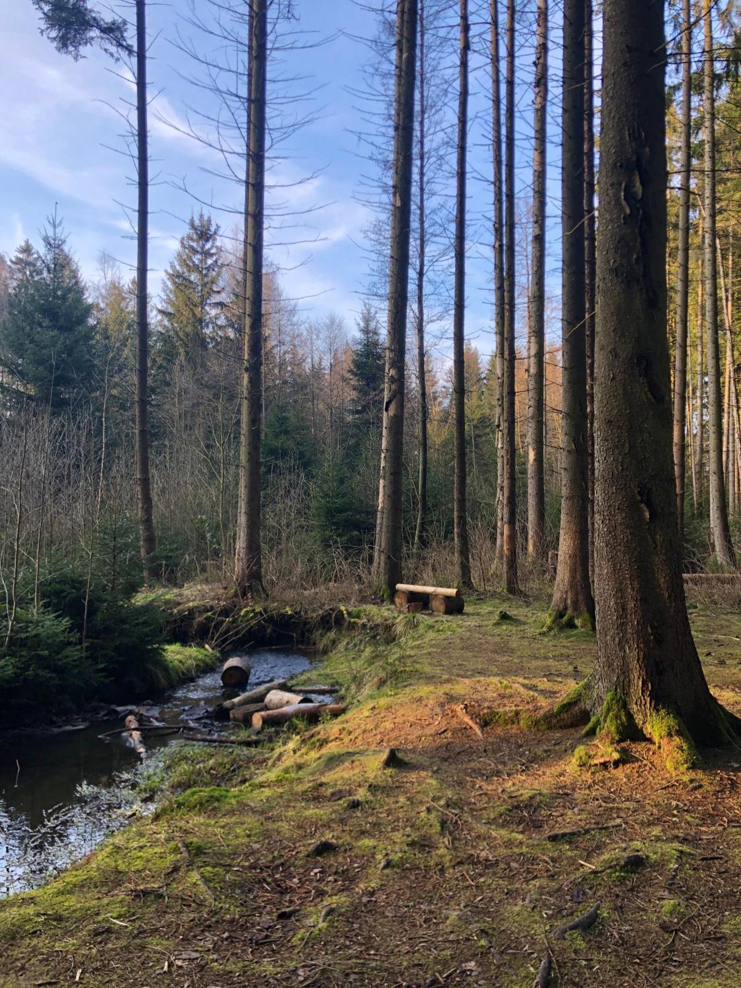 Holiday home Hundeurlaub Im Tiny House Im Wald Tanna