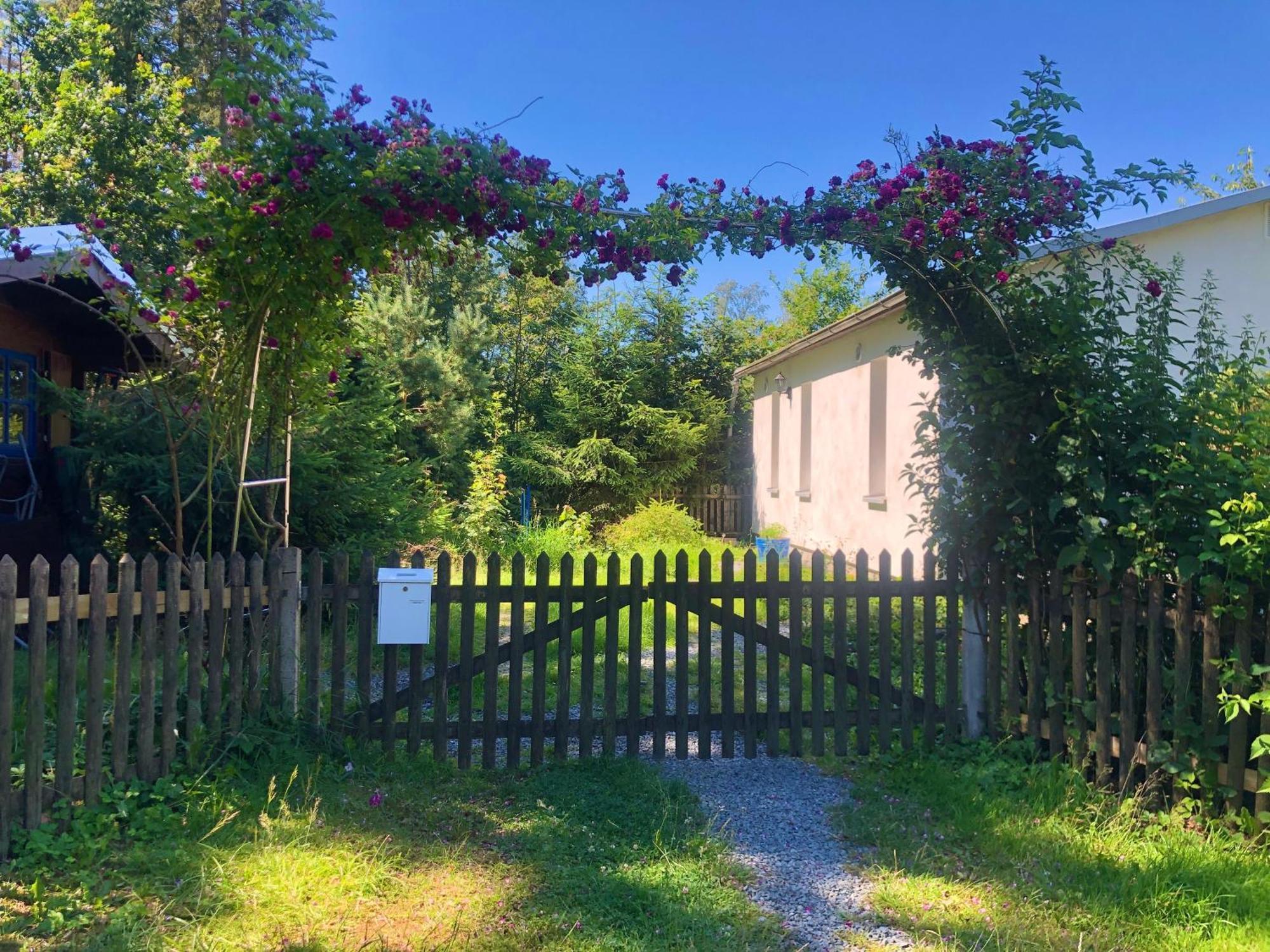 Hundeurlaub Im Tiny House Im Wald